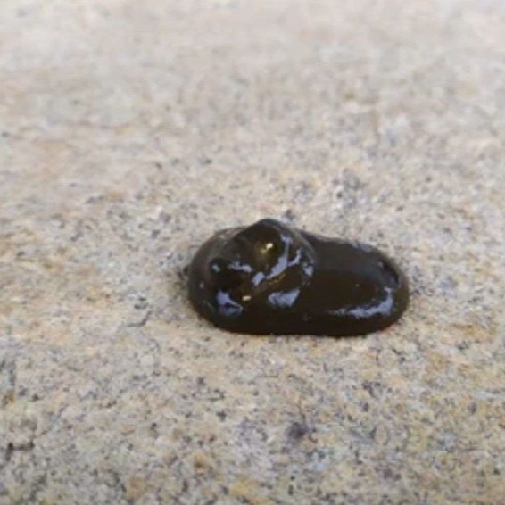 bird poop18