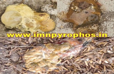bird poop7